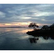 Stephen Scearce's photo
