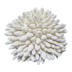 New Arrivals - Products