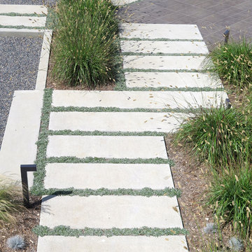 Modern Leucadia