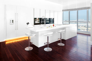 Inspiration for a modern kitchen remodel in Other