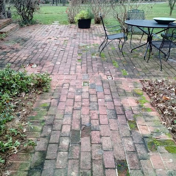 Patio and Walkway Renovation