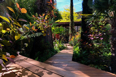 Large tropical entryway in London.