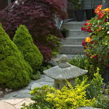 862 Plants