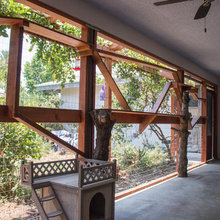 Catio