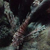 Vern Miller's photo
