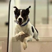 Bev LaPorte's photo
