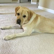 Maureen Goodelle's photo