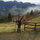 mollie_mcarthur