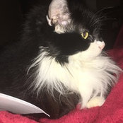 Pamela Webber Price's photo