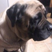 Barbara Hunter's photo