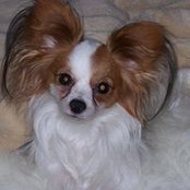 Gina Johnson's photo