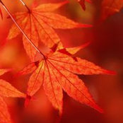 Marsha McCook's photo