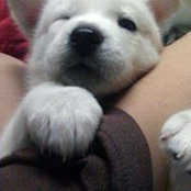 Stephen Fang's photo
