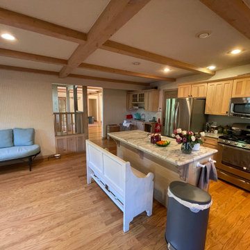 Full House Remodel