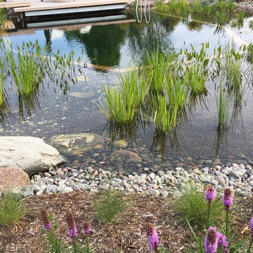 Pond in the Fields