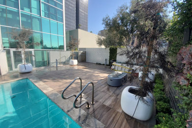 Modern swimming pool in Los Angeles.