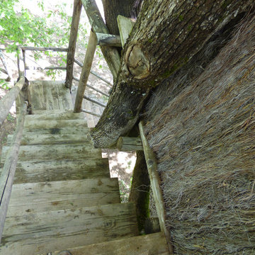 LA CASA SULL' ALBERO