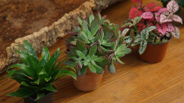 Houzz TV: This Living Centerpiece Turns Into Gifts