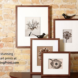 Change of Art&reg; instant gallery frames - Picture Frames