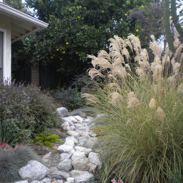 Dry streambed gives the essence of water