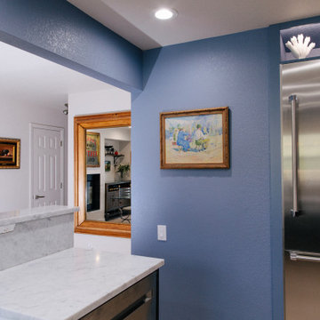 Blue with stainless steel appliances