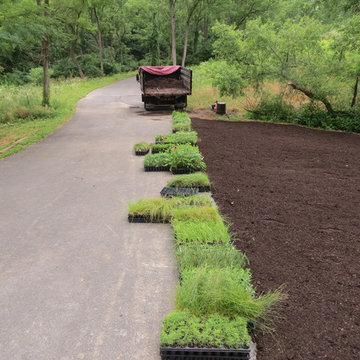 landscape plugs july 2016