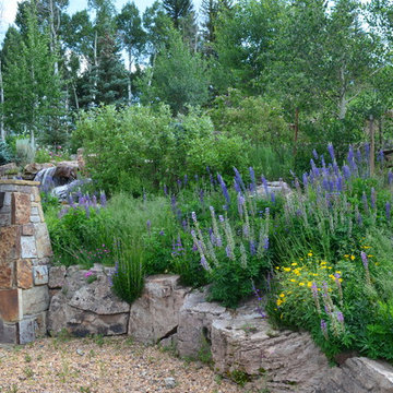 Design - Build Mountain Ranch Landscape in Summit County, CO