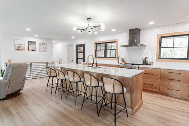 Example of a danish kitchen design in Other