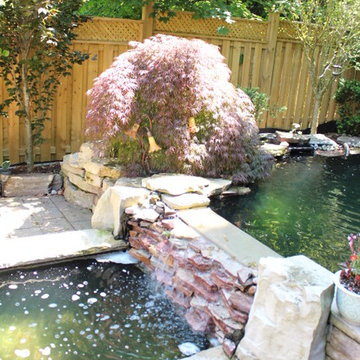 rons back yard