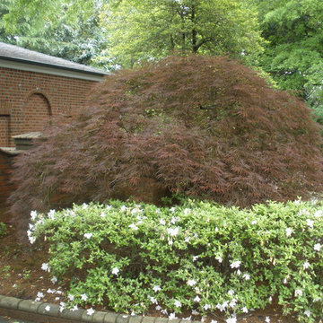 Landscape Management