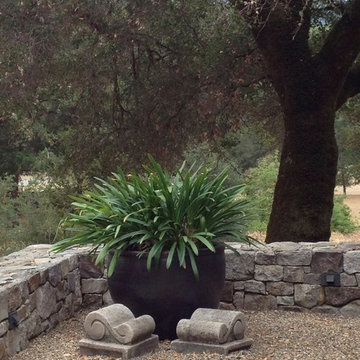 Sonoma Guest Compound