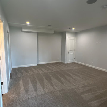 Shneider Basement