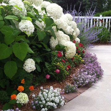 Hydrangea Garden