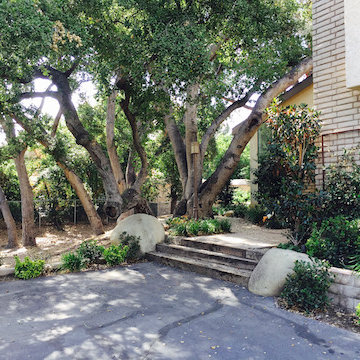 Newhall Remodel
