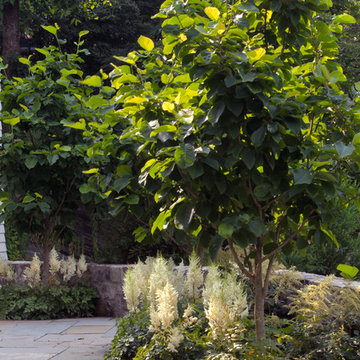 Bronxeville Residence