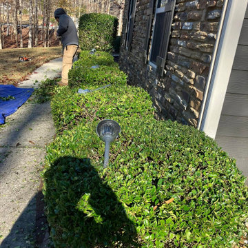 Landscape and Outdoor Property Improvement