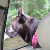 Christy Garner's photo