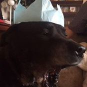Jason Hollander's photo