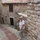 webuser_43136