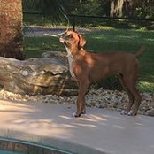 Stacy Hardwicke's photo