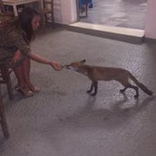 Riuel Riuel's photo