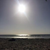 Le Ann Higgins's photo