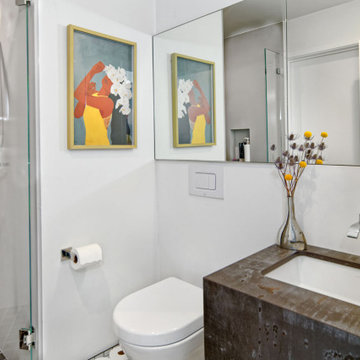 Ranch to Modern Remodel | Los Altos | Annette