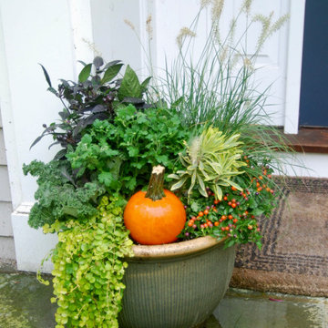 Creative Container Gardens