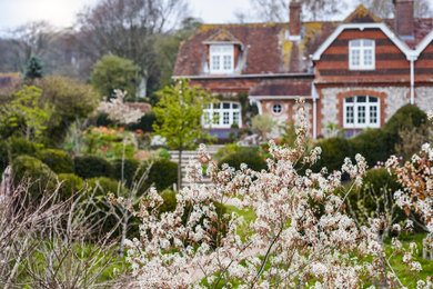 Amelanchier in cottage garden