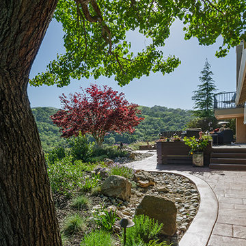California Native Garden