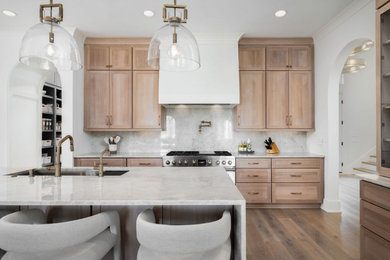Inspiration for a contemporary kitchen remodel in Other