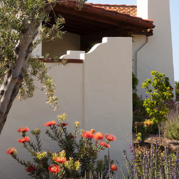 Montecito Phoenix rise from the ashes