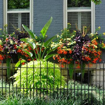 Urban Prairie- German Village