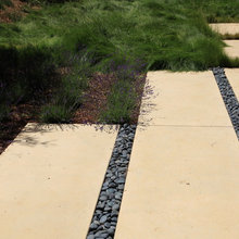 ofri front path
